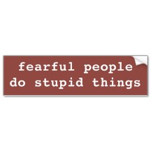 fear_is_stupid_bumper_sticker-p128092488033423934en7pq_216