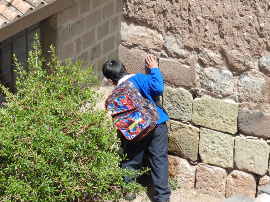 Hint: Dark spot on wall - he just peed. Boy after my own heart.