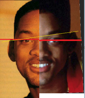 smith smith composite