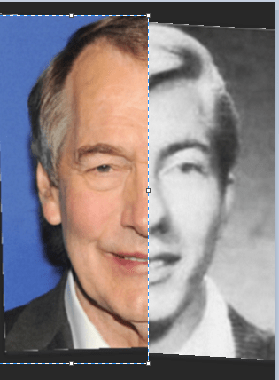 Rose Box Composite 2