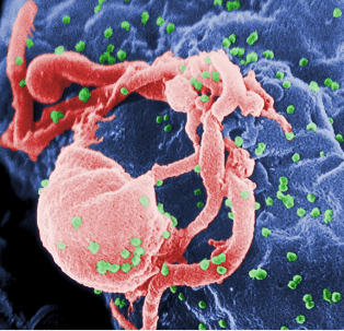 hiv