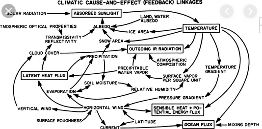 Cause and effect Feedback